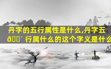 丹字的五行属性是什么,丹字五 🌴 行属什么的这个字义是什么